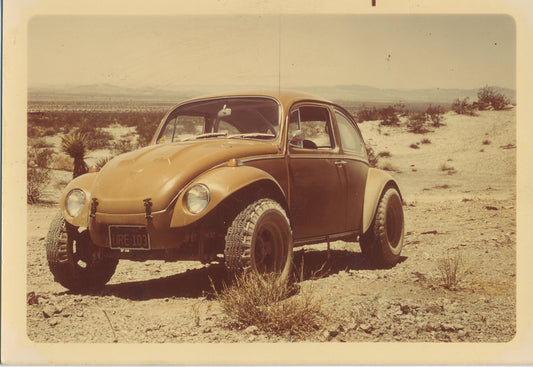 Broad-Eyed Bug - The Sandwinder Baja Bug Story